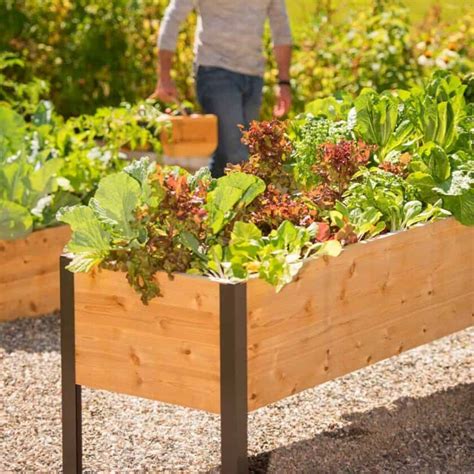 vegetable planter box ideas